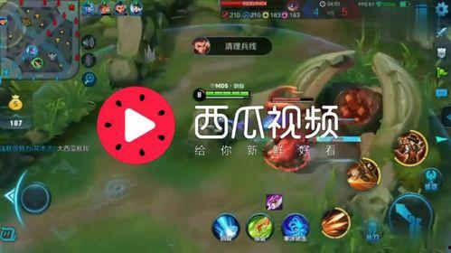 娱乐吃瓜背景音乐推荐大全,娱乐吃瓜必备!盘点热门背景音乐推荐大全