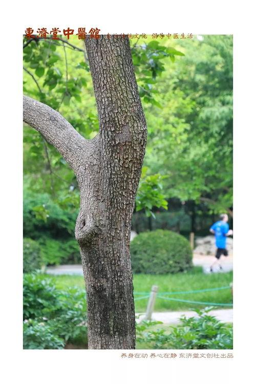 画一幅吃瓜果的人,品味人生甜蜜瞬间